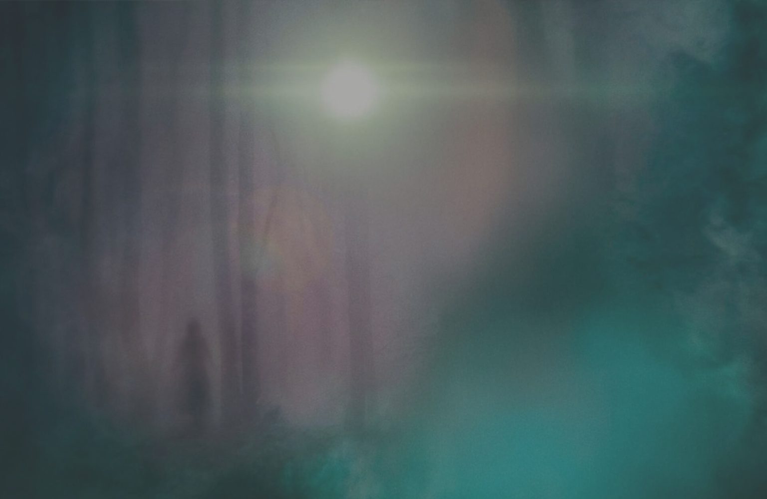 woodlanddark